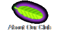 About Our Club