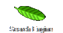 Search Engine