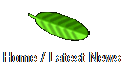 Home / Latest News