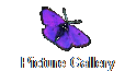 Picture Gallery