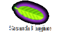 Search Engine