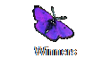 Winners